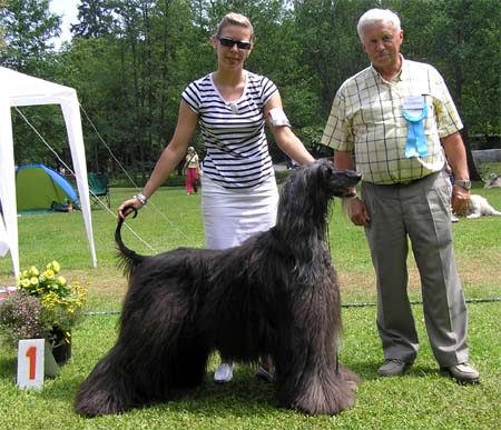 Best Veteran  Multi.Ch.Alice Cooper Gandamak