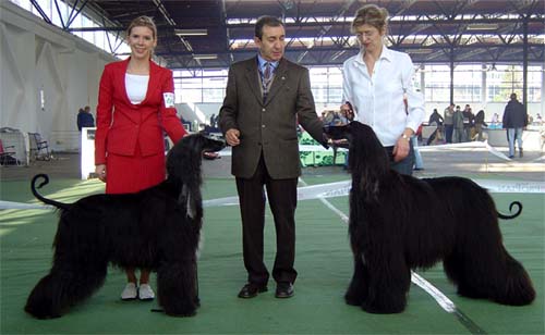 Int.Ch. Fibi & Fletcher Cristi Gandamak