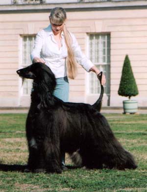 BOB - Flash Gordon Gandamak