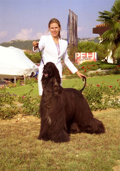 Ch. Fletcher Cristi Gandamak