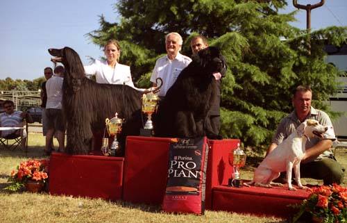 Ch. Fletcher Cristi Gandamak