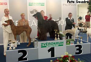 BOG & res.BIS - Franco Nero Gandamak