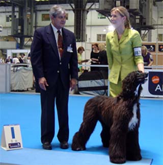 Jennies Joplin Gandamak - Europa Junior Winner 2004