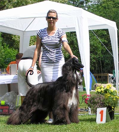 Best female  Multi.Ch. Jennies Joplin  Gandamak