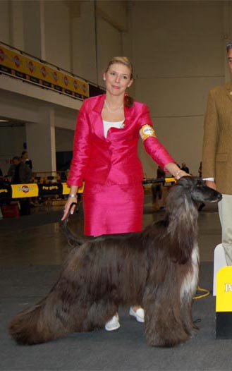 Jennies Joplin Gandamak