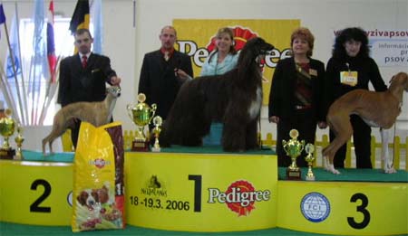 BOg Jennies Joplin Gandamak