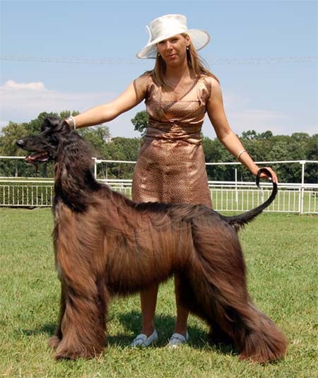 Kevin Keagen Gandamak