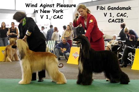 Bundessieger 2004 - Fibi