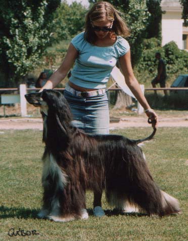 Ginger Rogerz Gandamak