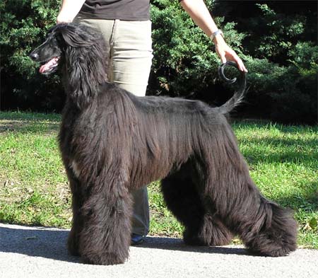 Kylie Gandamak - Bundesjugendsiegerin 2005