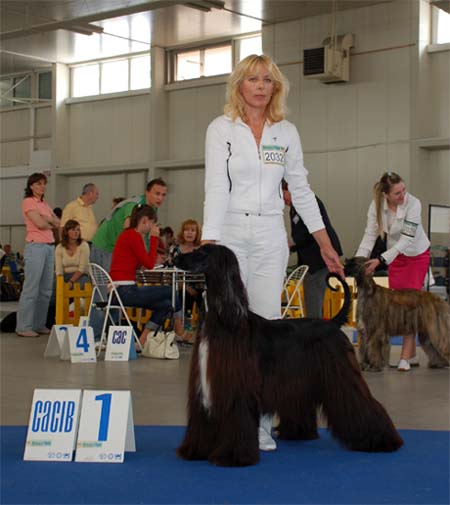 Ch.Loreta Lynn Gandamak - V 1, CAC, CACIB