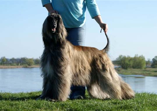 Natalie Wood Gandamak