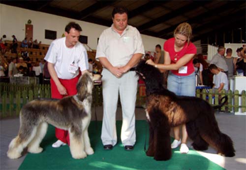 Best Jung male & female