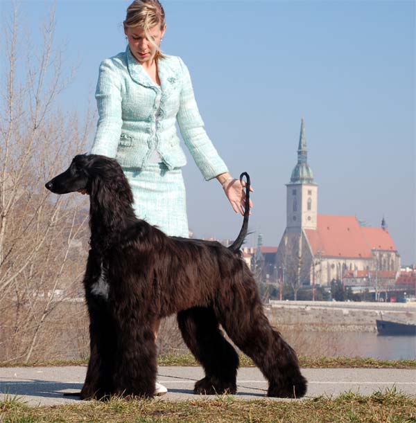 Olivia Newton J. Gandamak - Junior BIS