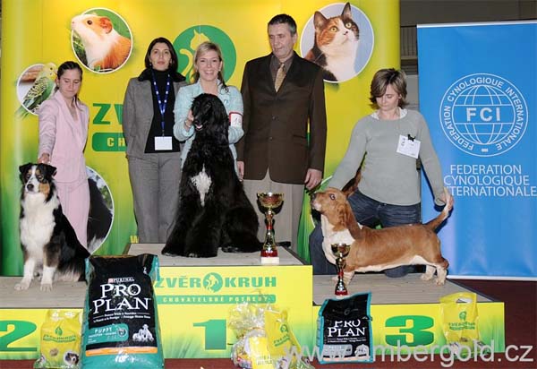 Olivia Newton J. Gandamak - Junior BIS