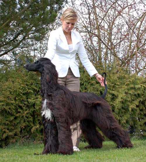 Olivia Newton J. Gandamak