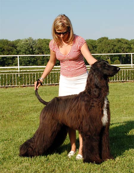 Orlando Gandamak - V 1, CAJC