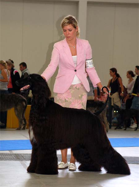 Ozzy Osbourne Gandamak