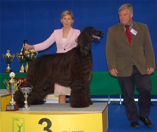 Ozzy Osbourne Gandamak