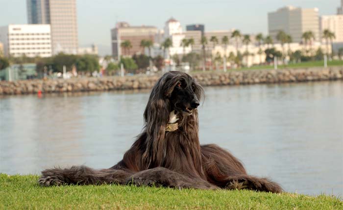 Fotenie s talianskými fotografmi