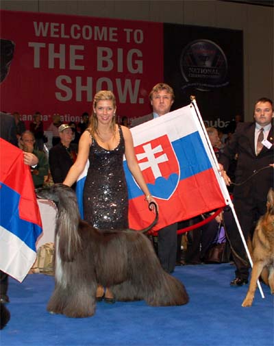 Eukanuba World Challenge 2.December 2007