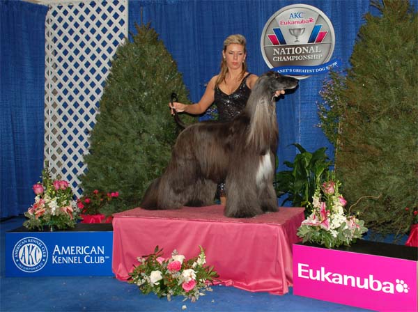 Eukanuba World Challenge 2.December 2007
