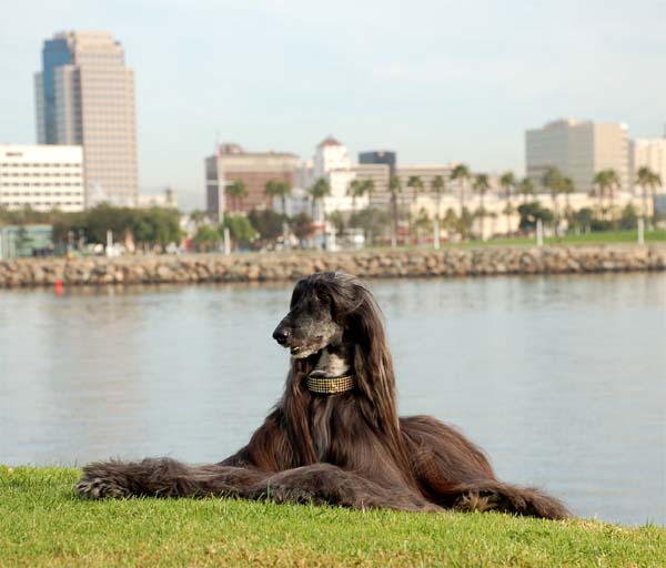 Fotenie s talianskými fotografmi