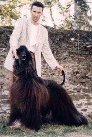 Ch. H'Le Viking Du Manuel Galopin